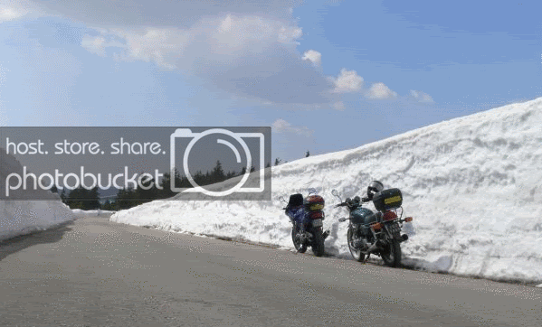 Zdjęcie niezaładowane/zbyt duże