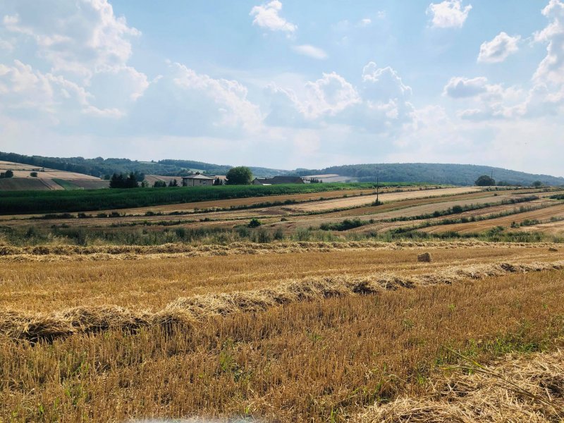 117396147_672916536902433_4732481166069704374_n.jpg?_nc_cat=111&_nc_sid=b96e70&_nc_ohc=pSPbfmIU_wIAX-NxTTJ&_nc_ht=scontent-frx5-1.xx&oh=5cef2e69df20840468cdef22016e0d41&oe=5F59290A