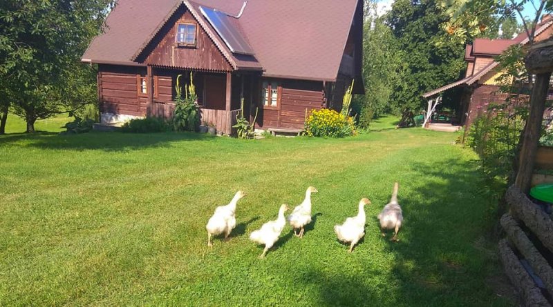 Image may contain: sky, house, outdoor and nature