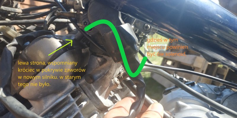 IMG_20200419_114421 na forum.jpg