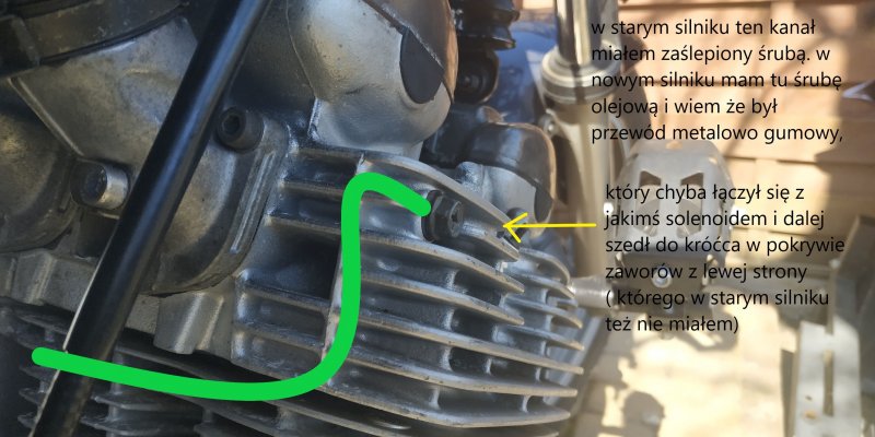 IMG_20200419_114429na forum.jpg