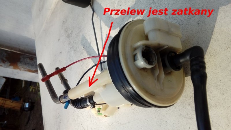 20220629_181033 ATLANTIC.jpg