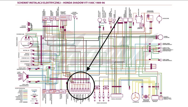 Obraz 1.10.2023, godz. 19.29.jpeg