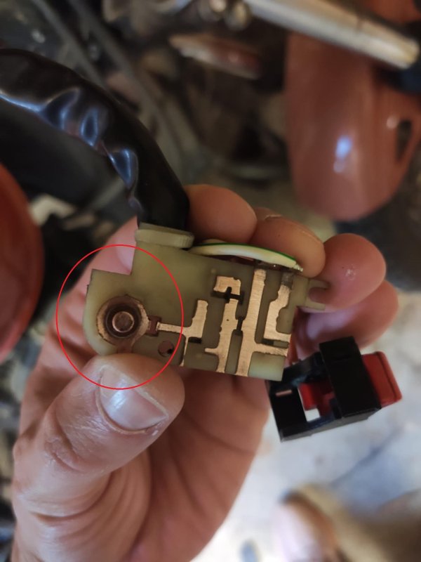 54f81806-a842-47a6-952d-fb800b9fc6e5 (1).jpeg